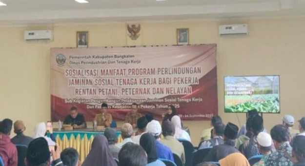bangkalan-web